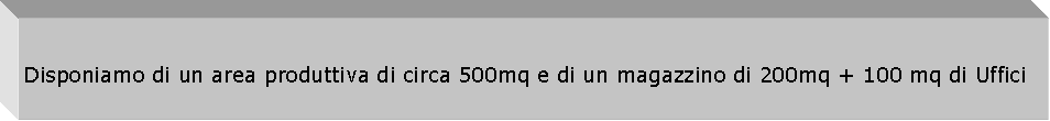 Casella di testo: Disponiamo di un area produttiva di circa 500mq e di un magazzino di 200mq + 100 mq di Uffici